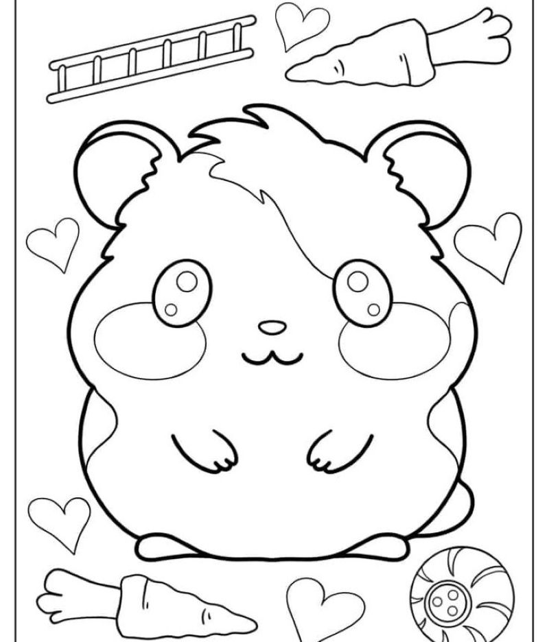 tranh-to-mau-hamster (10)