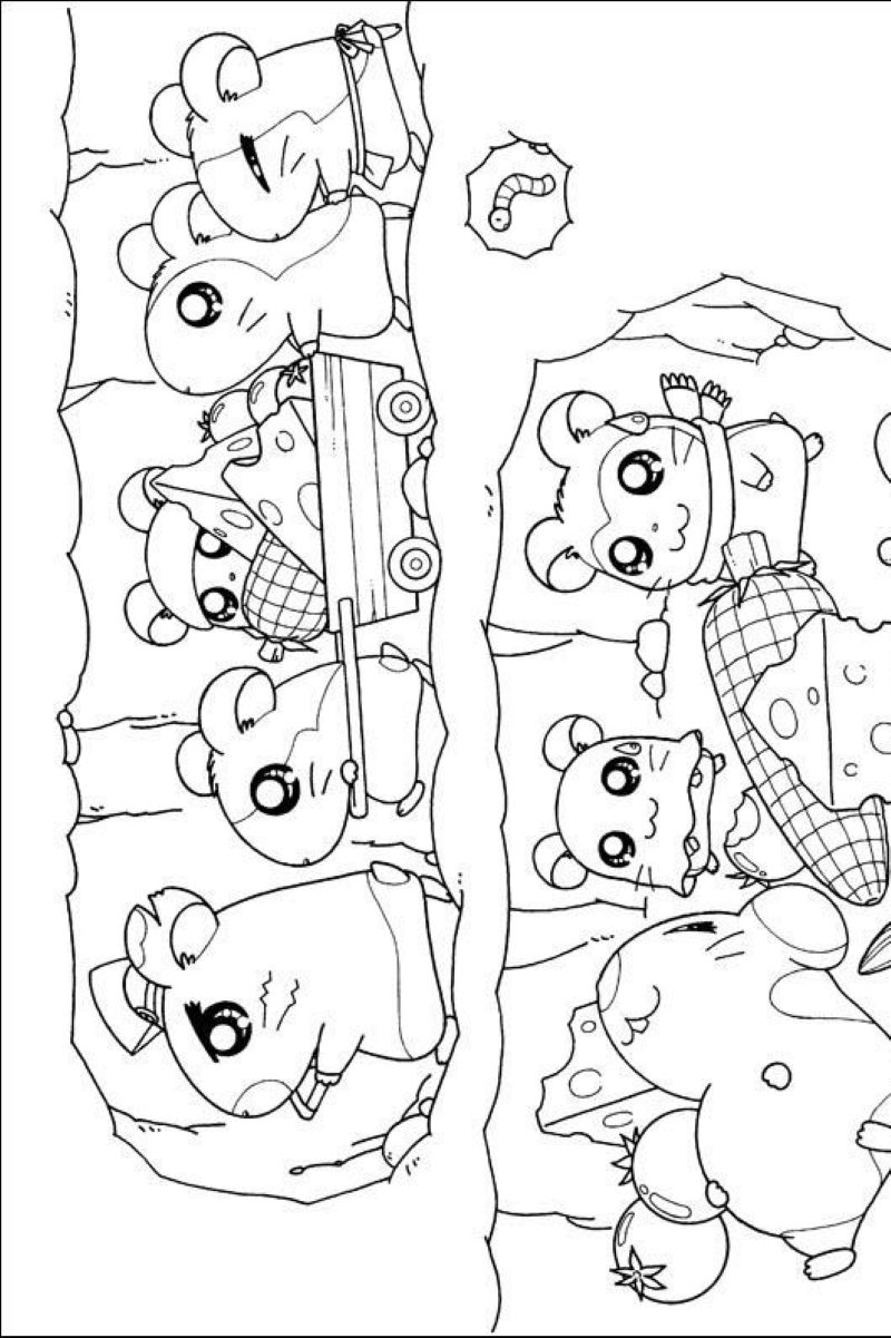 tranh-to-mau-hamster (13)