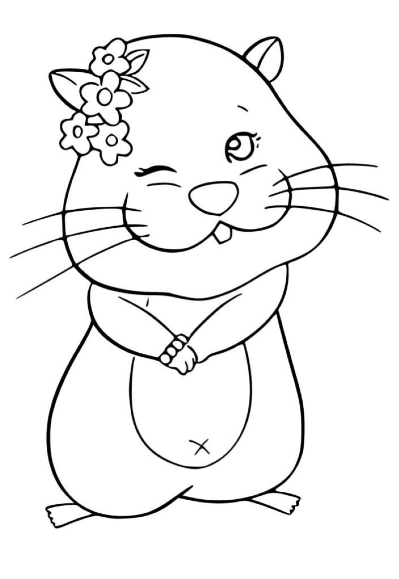 tranh-to-mau-hamster (2)