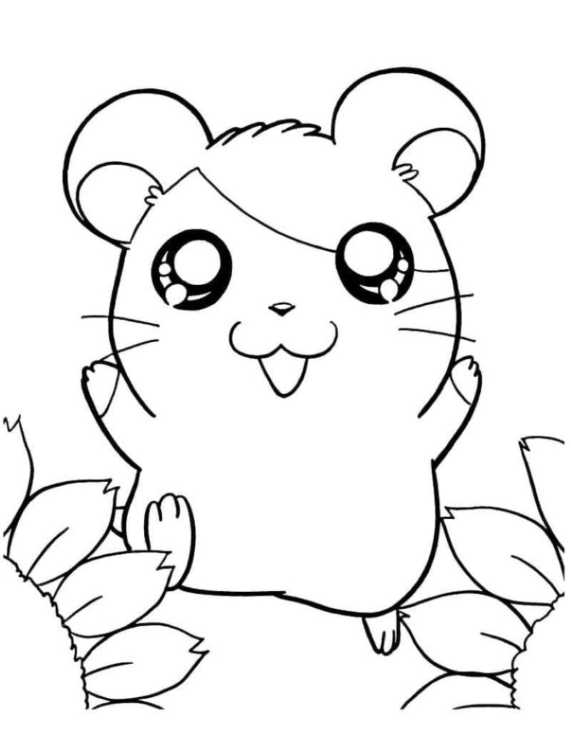 tranh-to-mau-hamster (3)