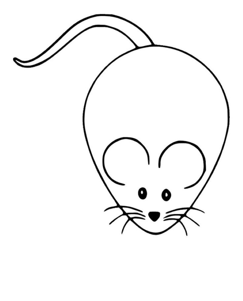 tranh-to-mau-hamster (40)