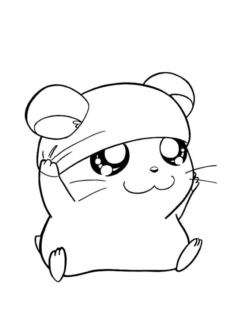 tranh-to-mau-hamster (5)