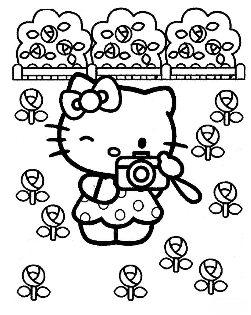 tranh-to-mau-hello-kitty (1)