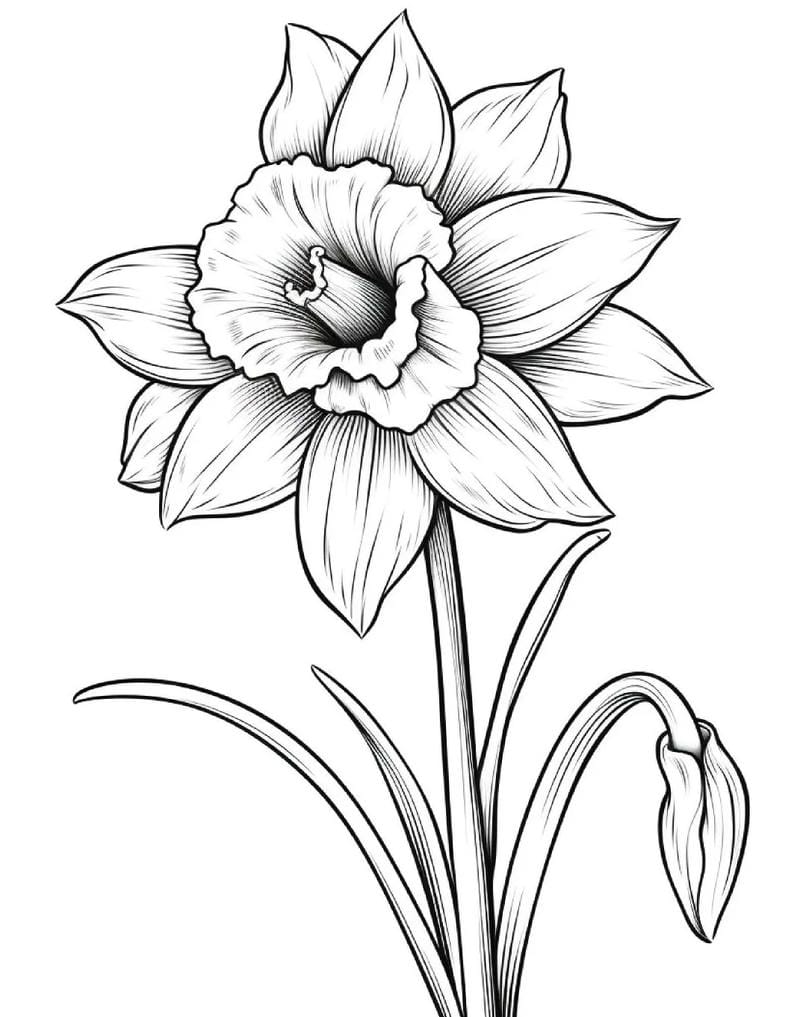 tranh-to-mau-hoa (35)