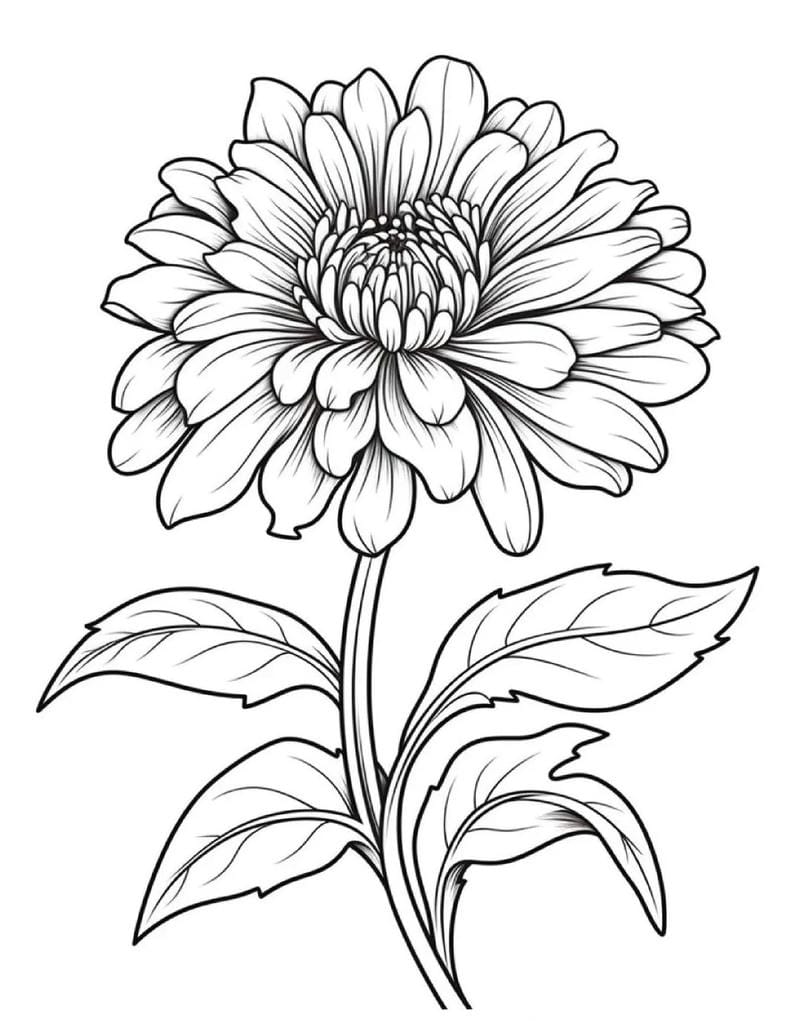 tranh-to-mau-hoa (36)