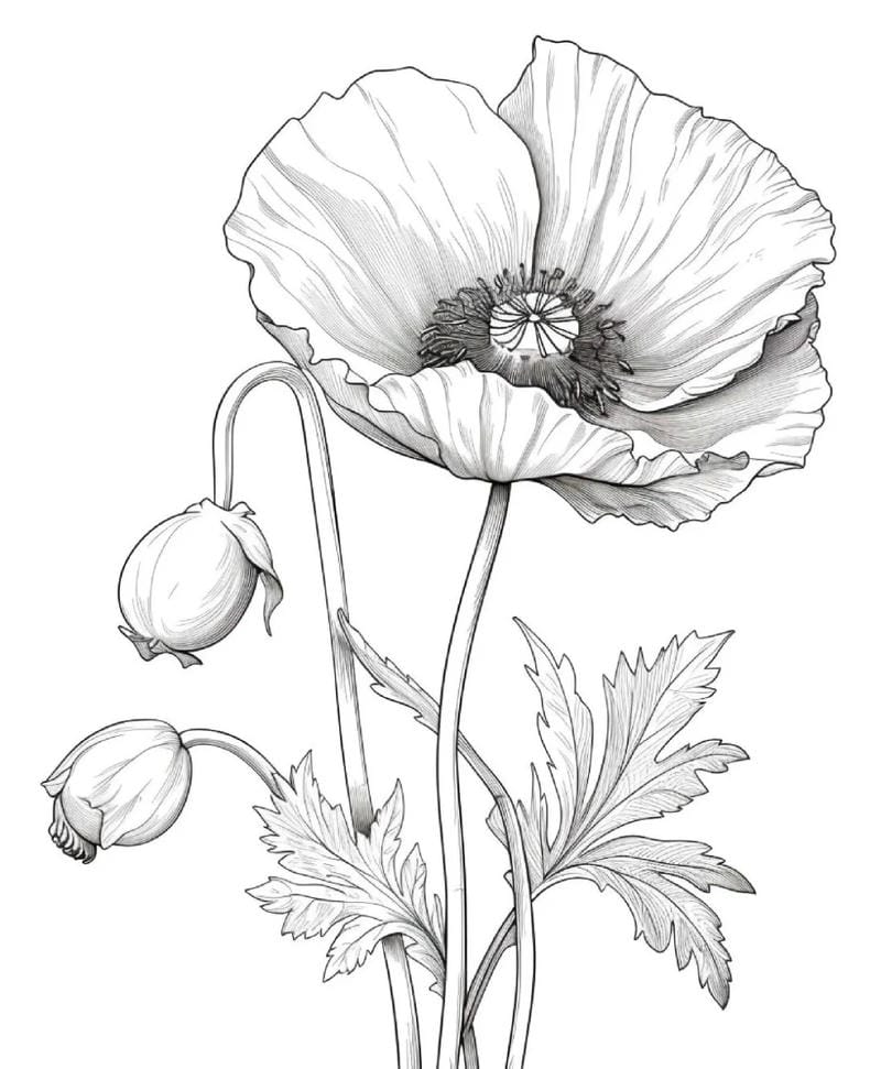 tranh-to-mau-hoa (38)