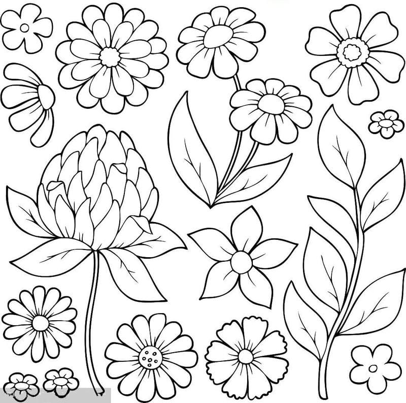 tranh-to-mau-hoa-huong-duong (30)