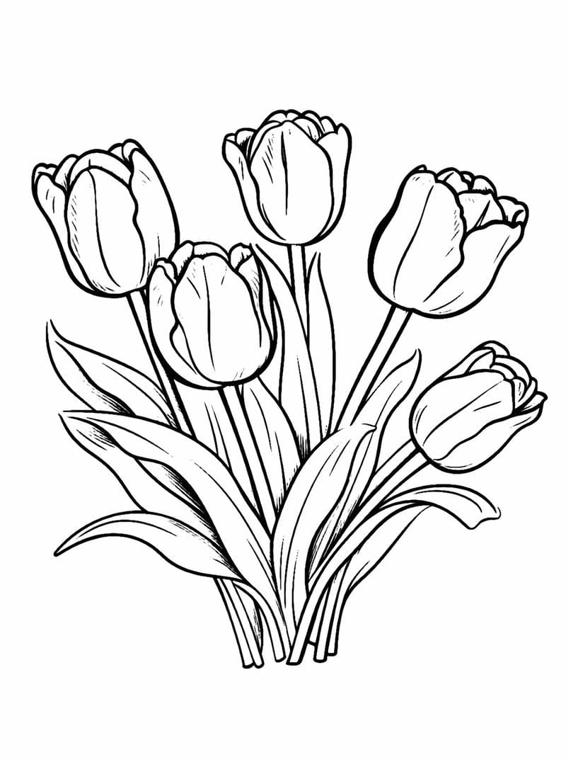 tranh-to-mau-hoa-tulip (11)