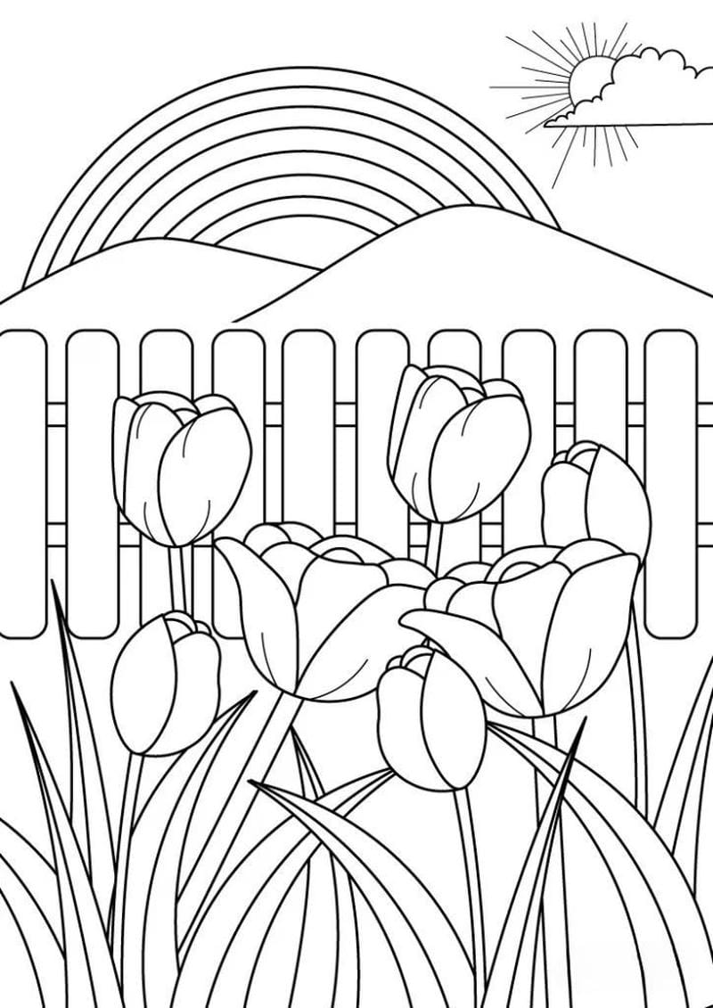 tranh-to-mau-hoa-tulip (23)