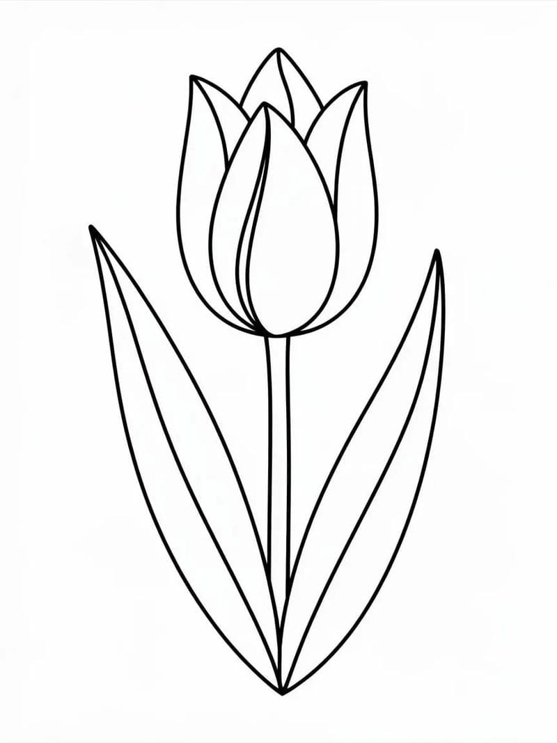 tranh-to-mau-hoa-tulip (24)