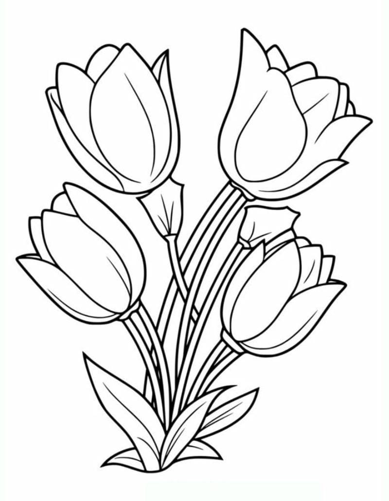 tranh-to-mau-hoa-tulip (30)