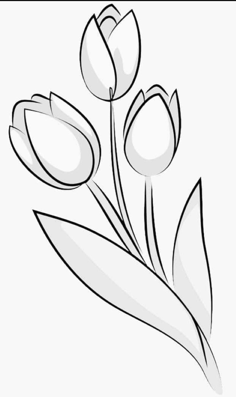 tranh-to-mau-hoa-tulip (31)