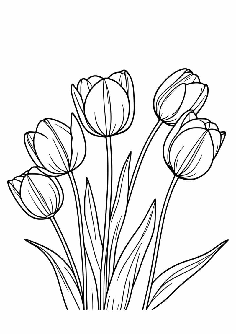 tranh-to-mau-hoa-tulip (33)