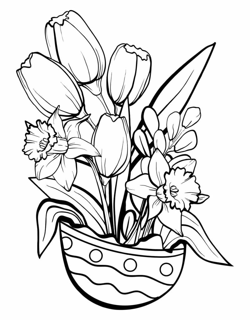 tranh-to-mau-hoa-tulip (5)