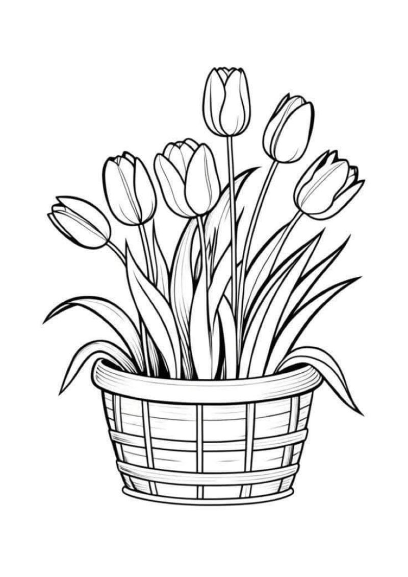 tranh-to-mau-hoa-tulip (7)