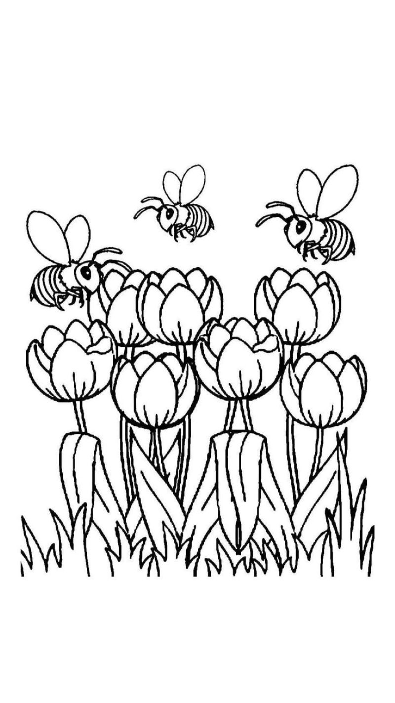 tranh-to-mau-hoa-tulip-dep (12)