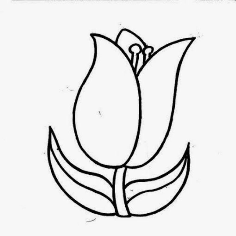 tranh-to-mau-hoa-tulip-dep (16)