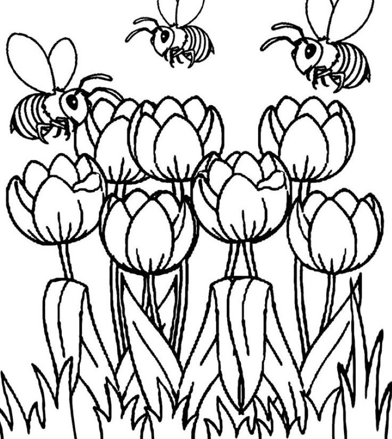 tranh-to-mau-hoa-tulip-dep (27)