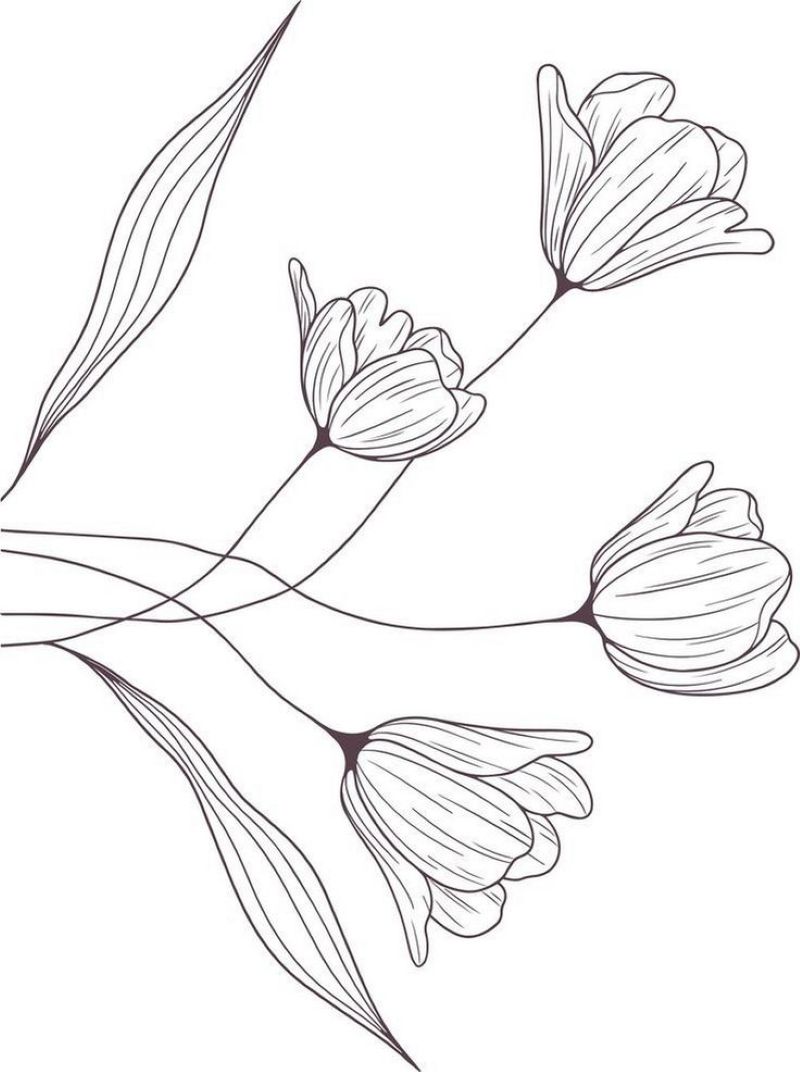 tranh-to-mau-hoa-tulip-dep (30)