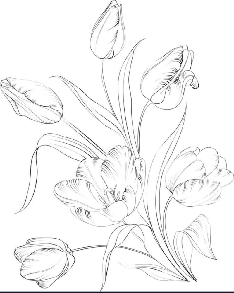 tranh-to-mau-hoa-tulip-dep (7)