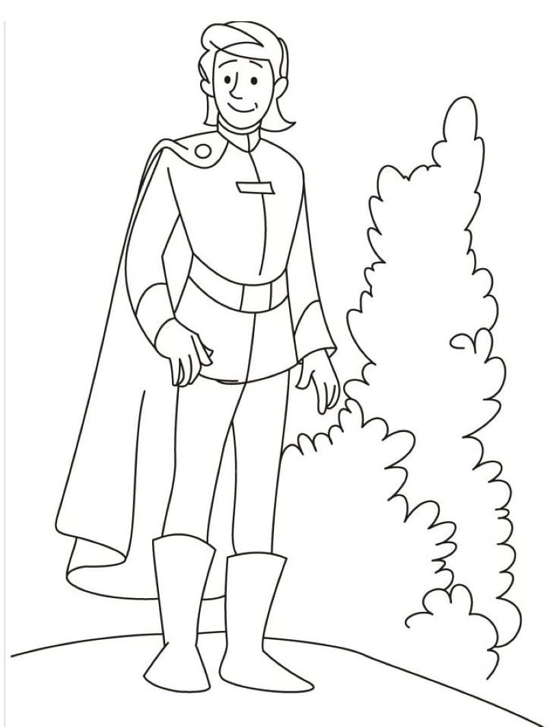 tranh-to-mau-hoang-tu-dep (5)