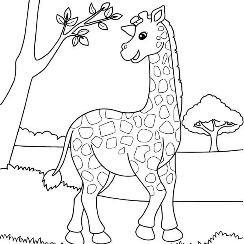 tranh-to-mau-huou-cao-co (10)