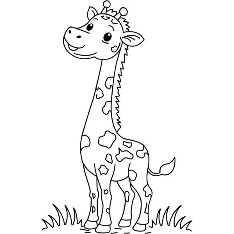 tranh-to-mau-huou-cao-co (16)