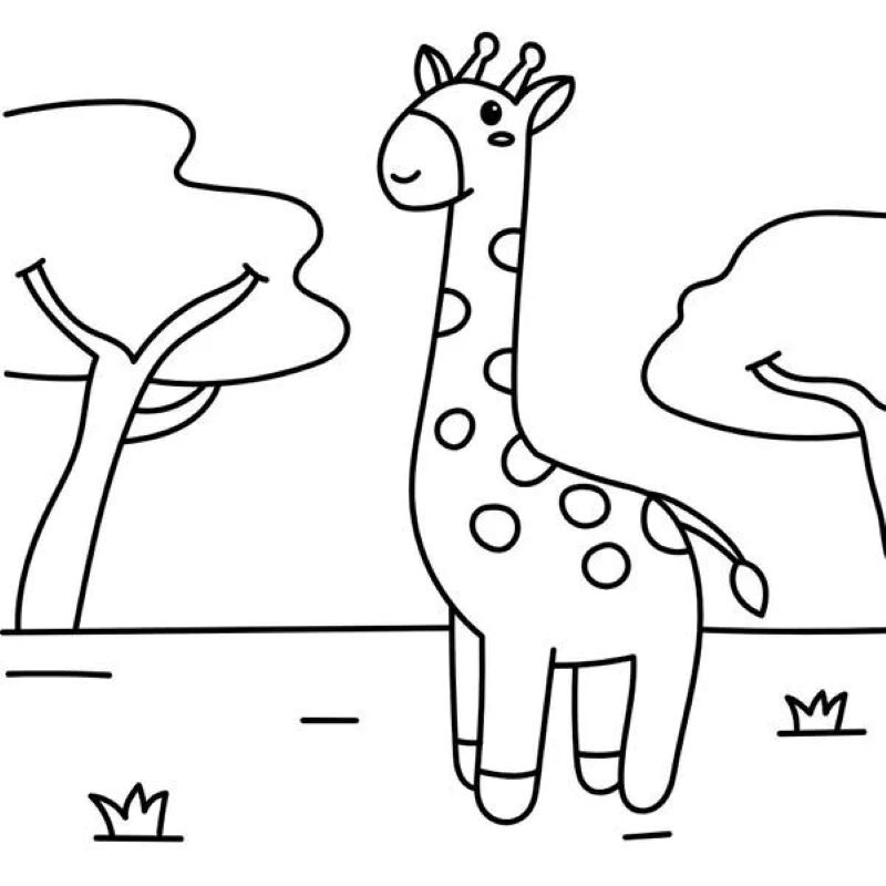 tranh-to-mau-huou-cao-co (21)