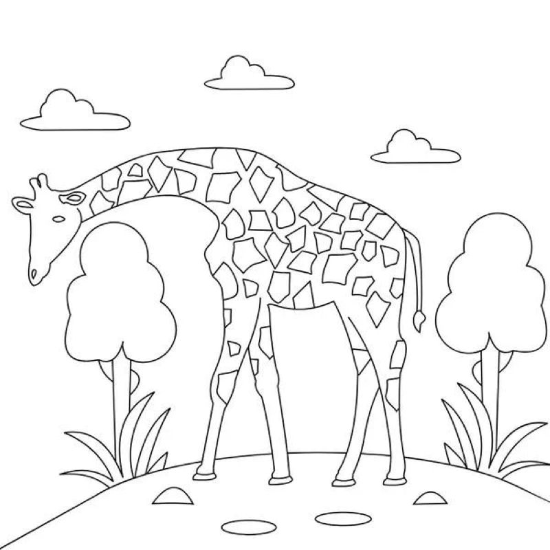 tranh-to-mau-huou-cao-co (30)