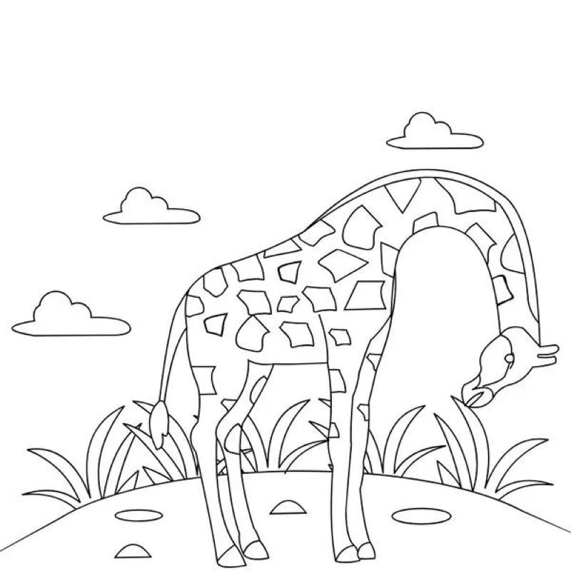 tranh-to-mau-huou-cao-co (31)