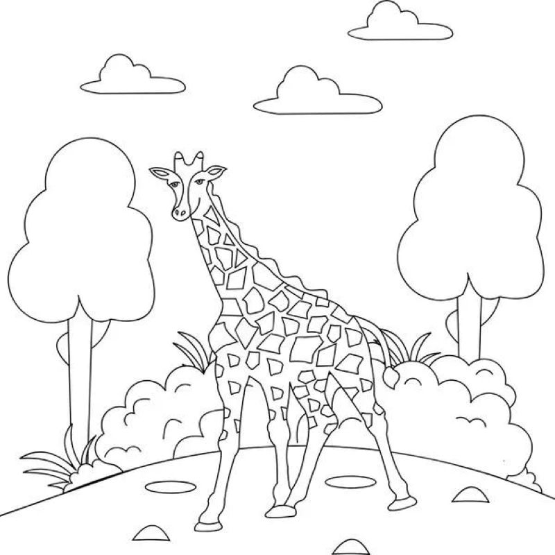 tranh-to-mau-huou-cao-co (34)