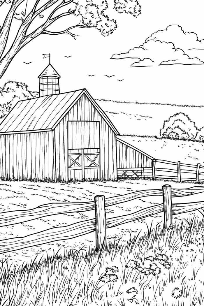 tranh-to-mau-nong-trai (8)