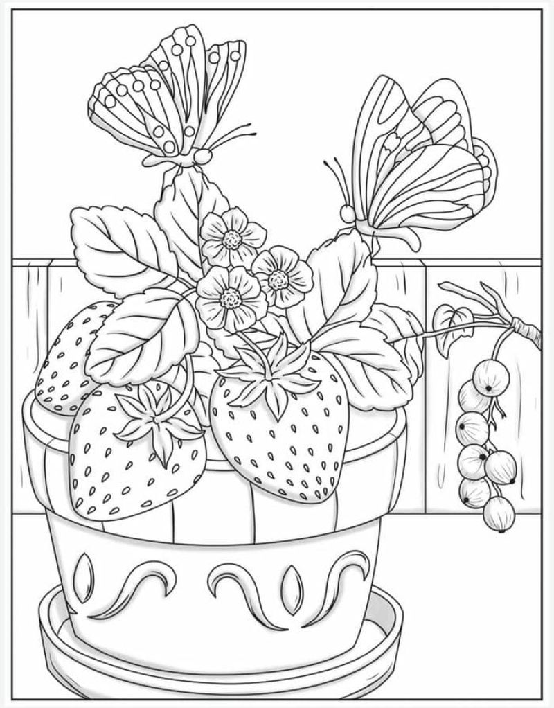 tranh-to-mau-qua-dau-tay (4)