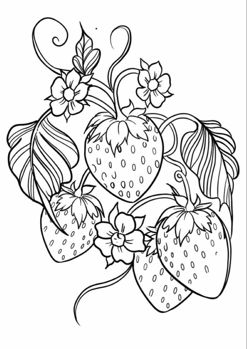 tranh-to-mau-qua-dau-tay (8)