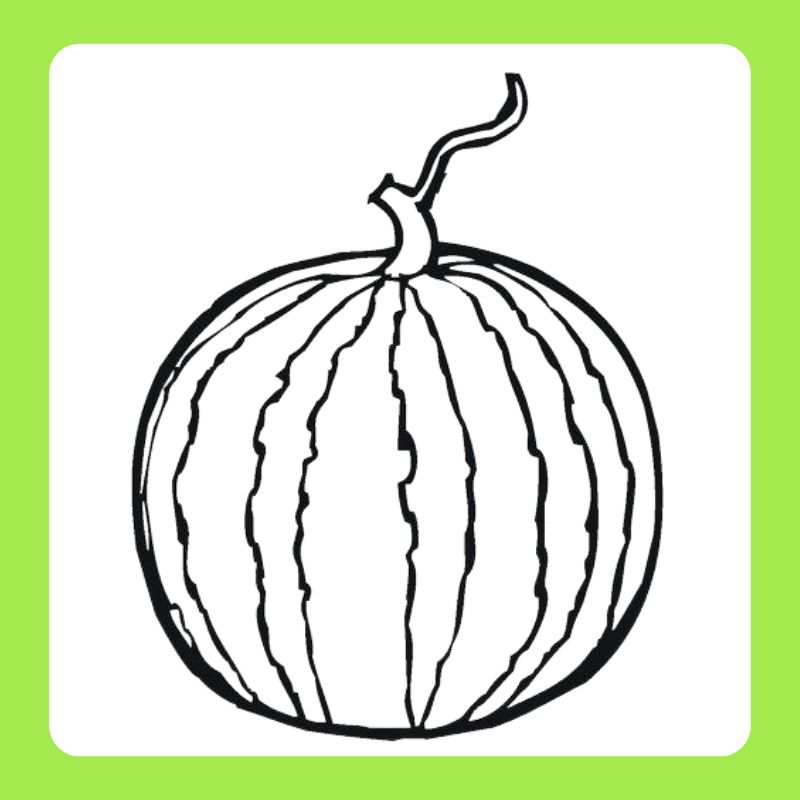 tranh-to-mau-qua-dua-hau (3)