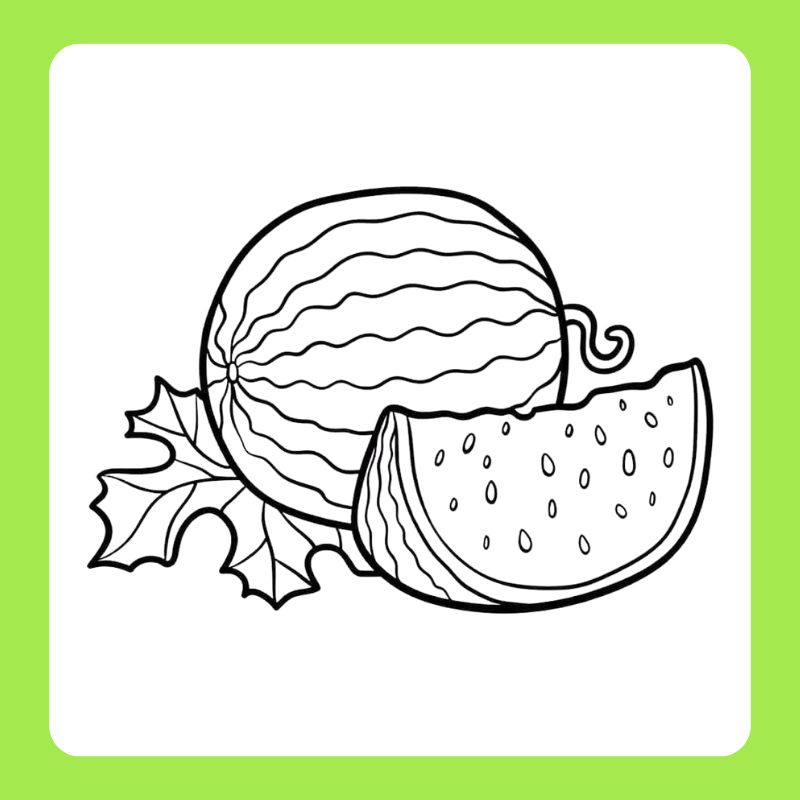 tranh-to-mau-qua-dua-hau (7)