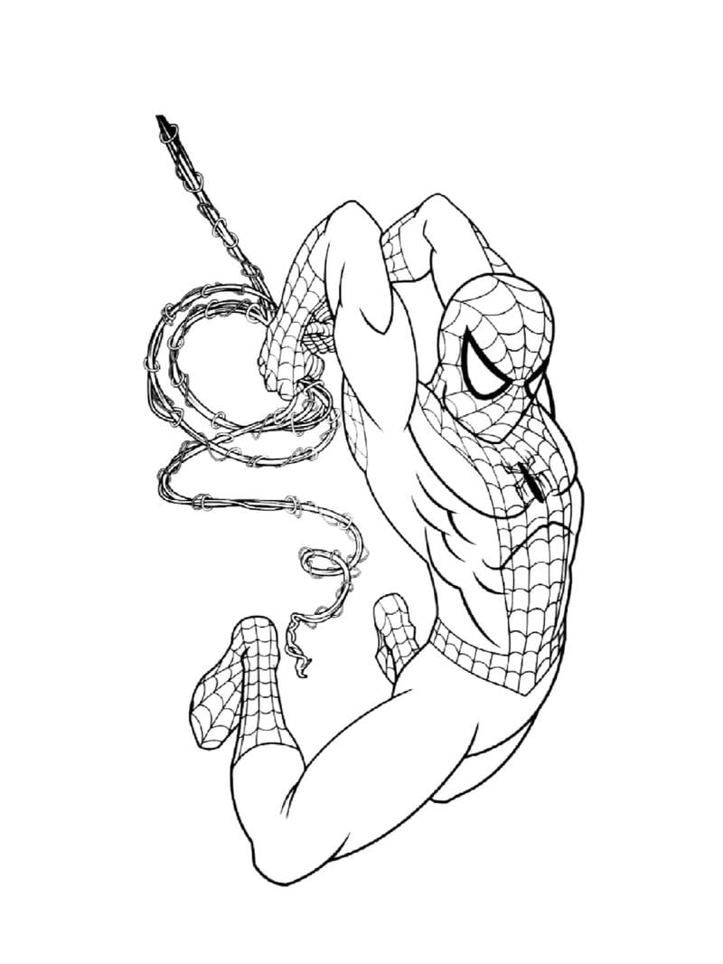 tranh-to-mau-spider-man (20)