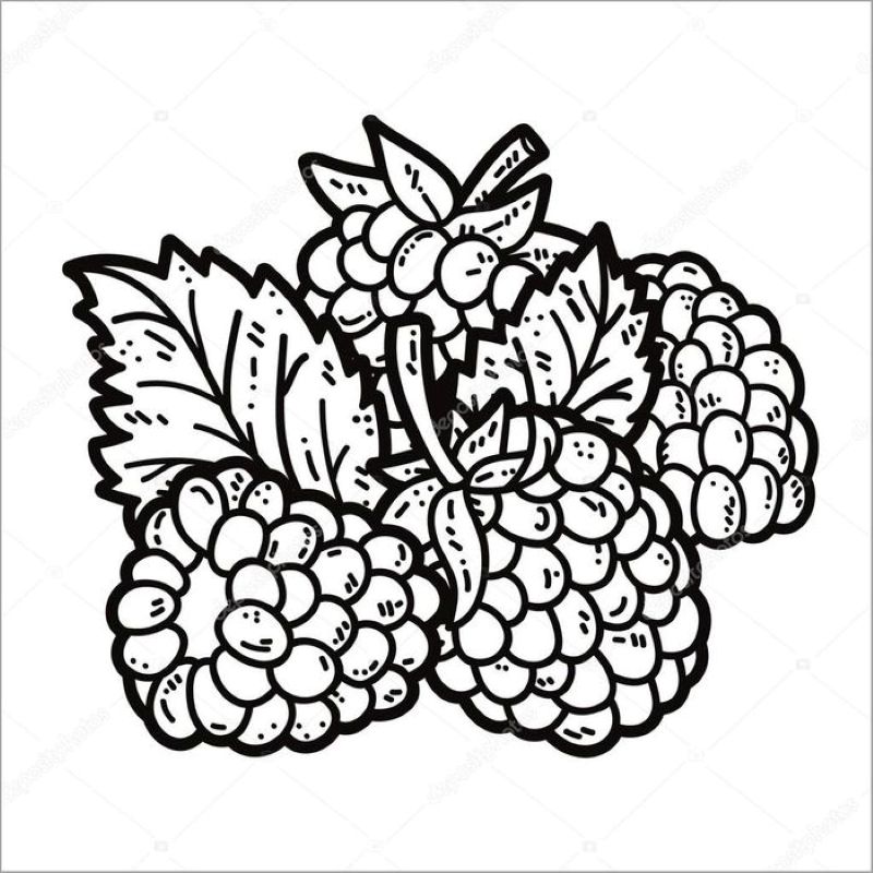 tranh-to-mau-trai-cay (4)