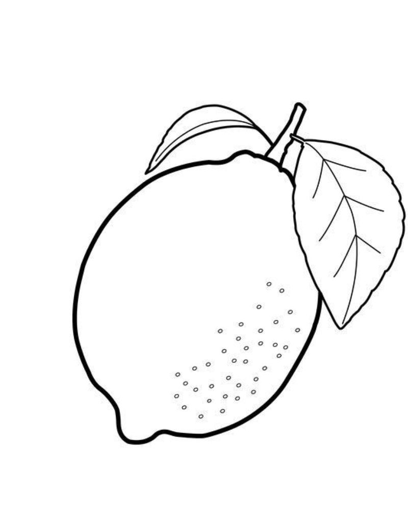 tranh-to-mau-trai-cay (7)