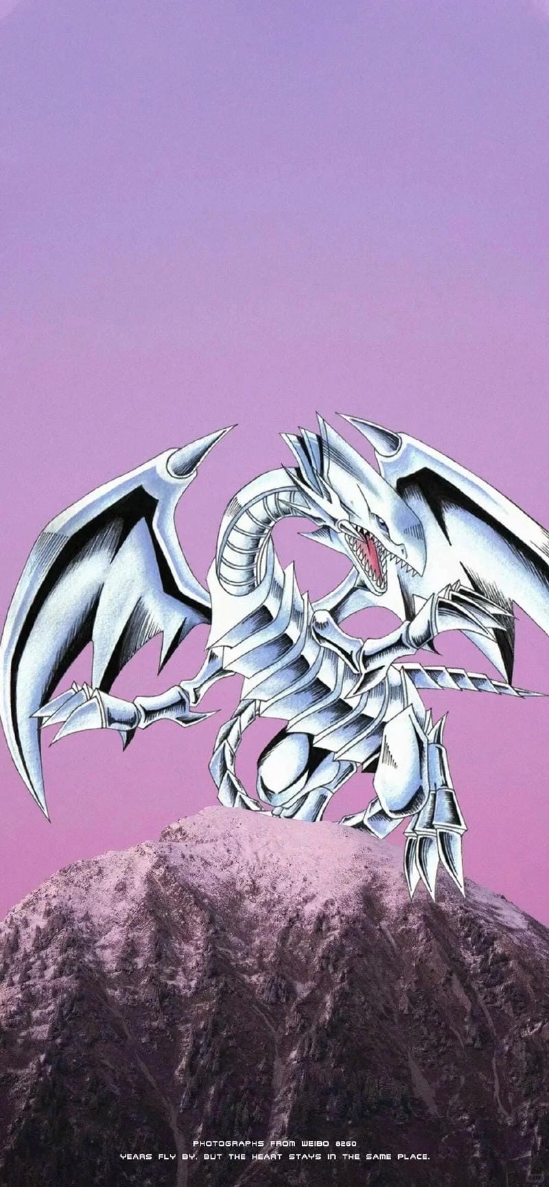 anh-anime-yugioh (19)