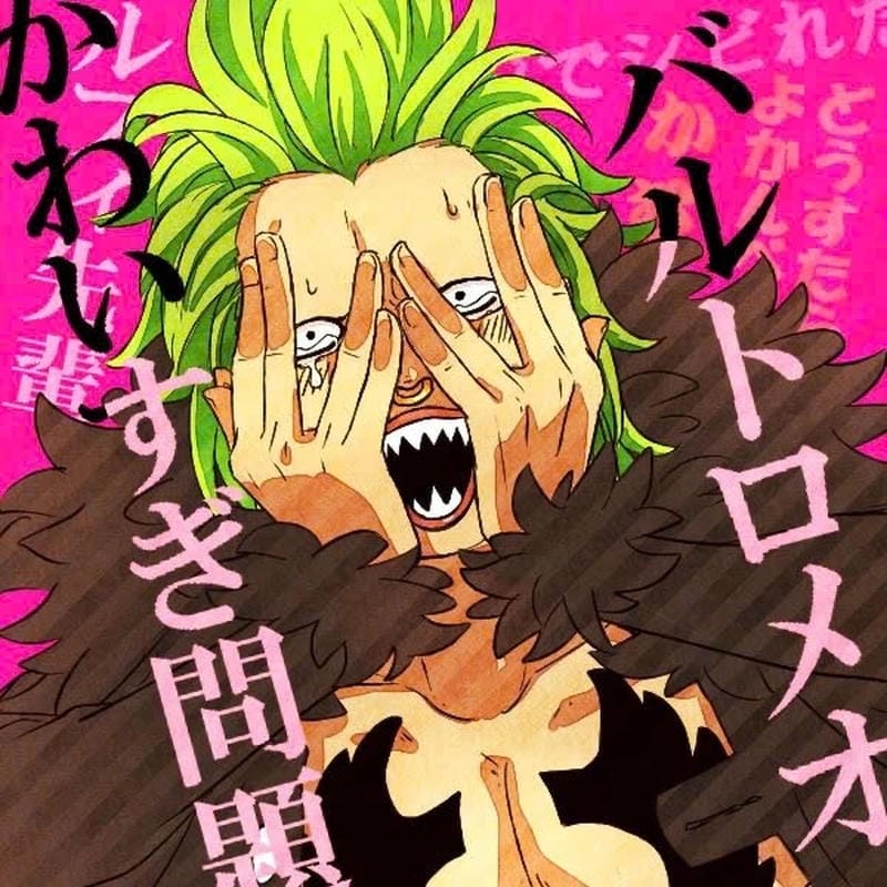 anh-bartolomeo (9)