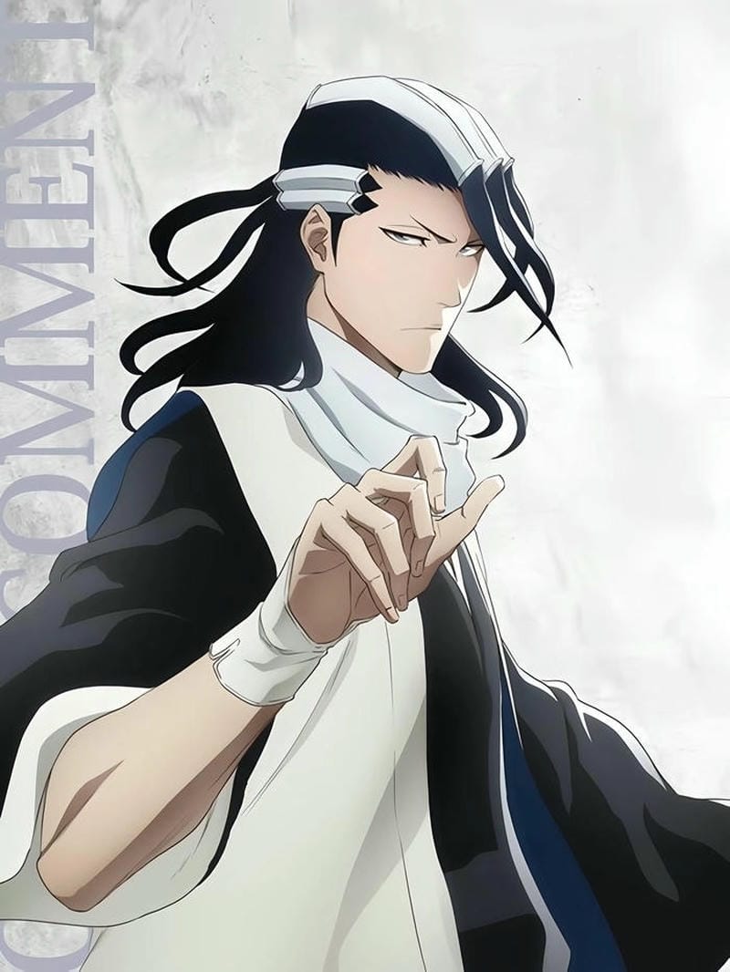 anh-byakuya-kuchiki (9)