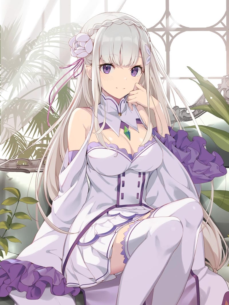 anh-emilia-re-zero (10)