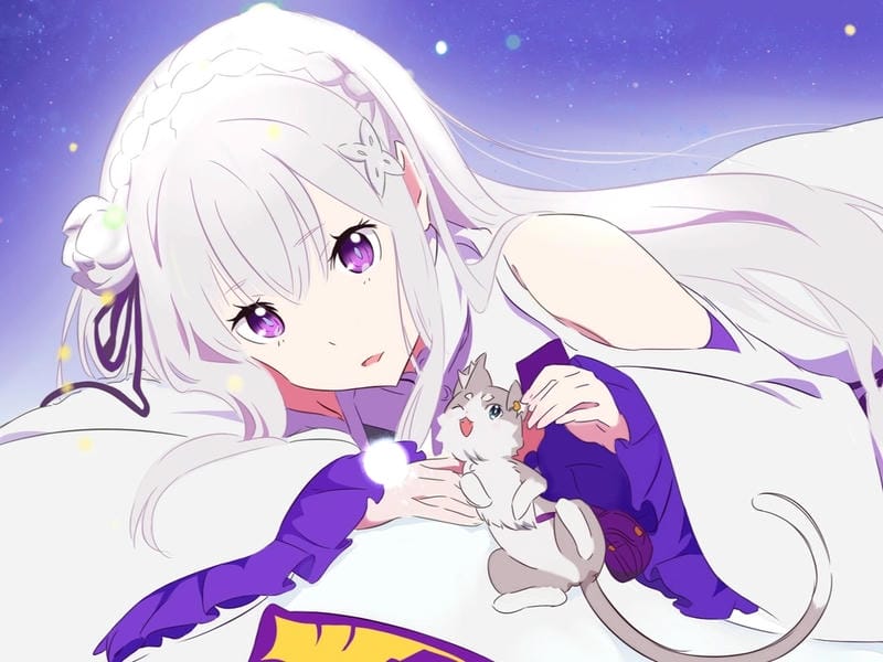 anh-emilia-re-zero (25)