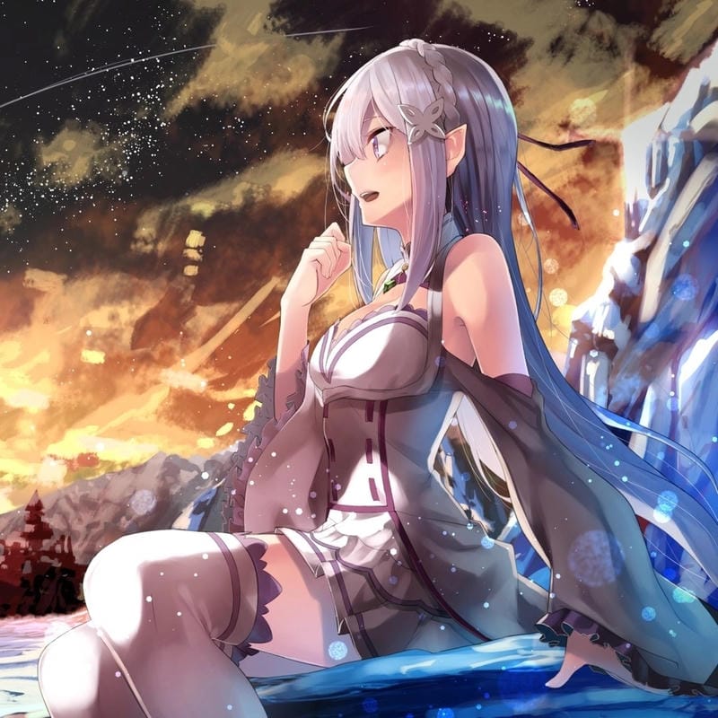 anh-emilia-re-zero (30)