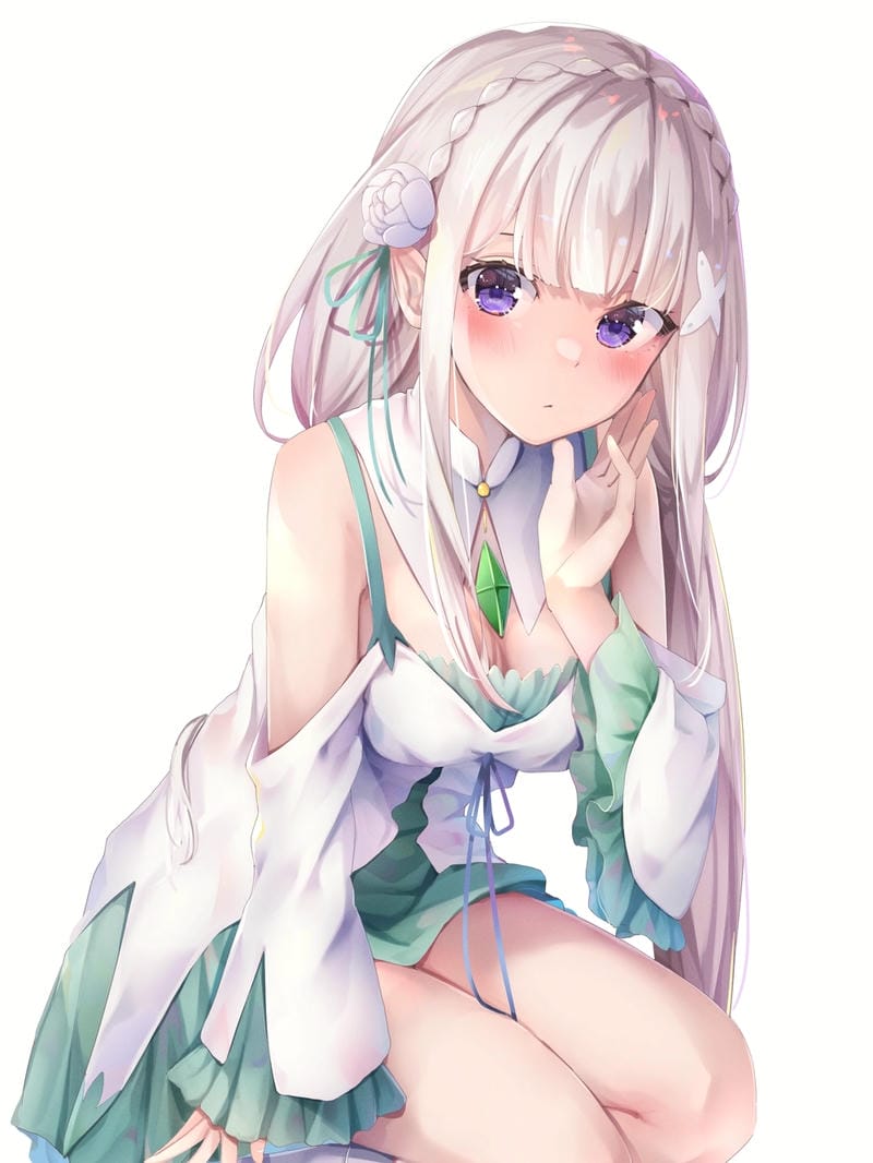 anh-emilia-re-zero (7)