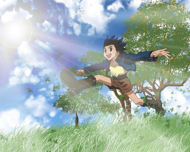 anh-gon-freecss (28)