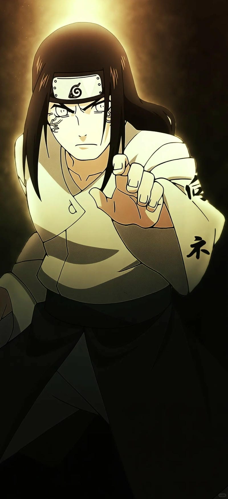 anh-hyuga-neji (25)
