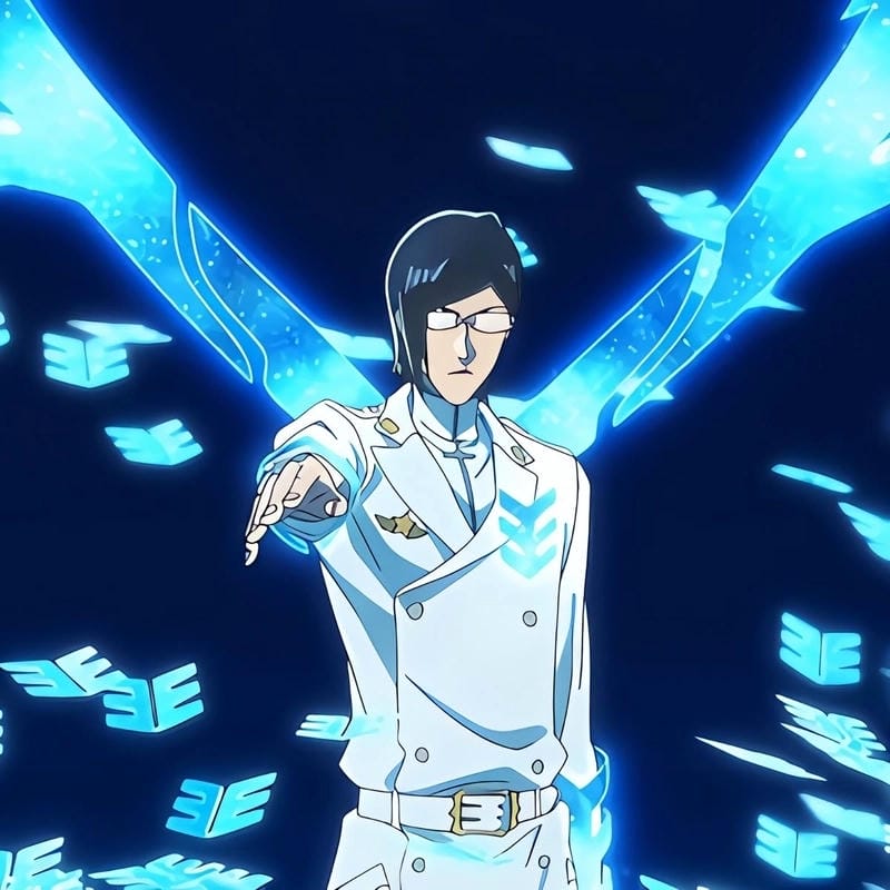 anh-ishida-uryu (18)