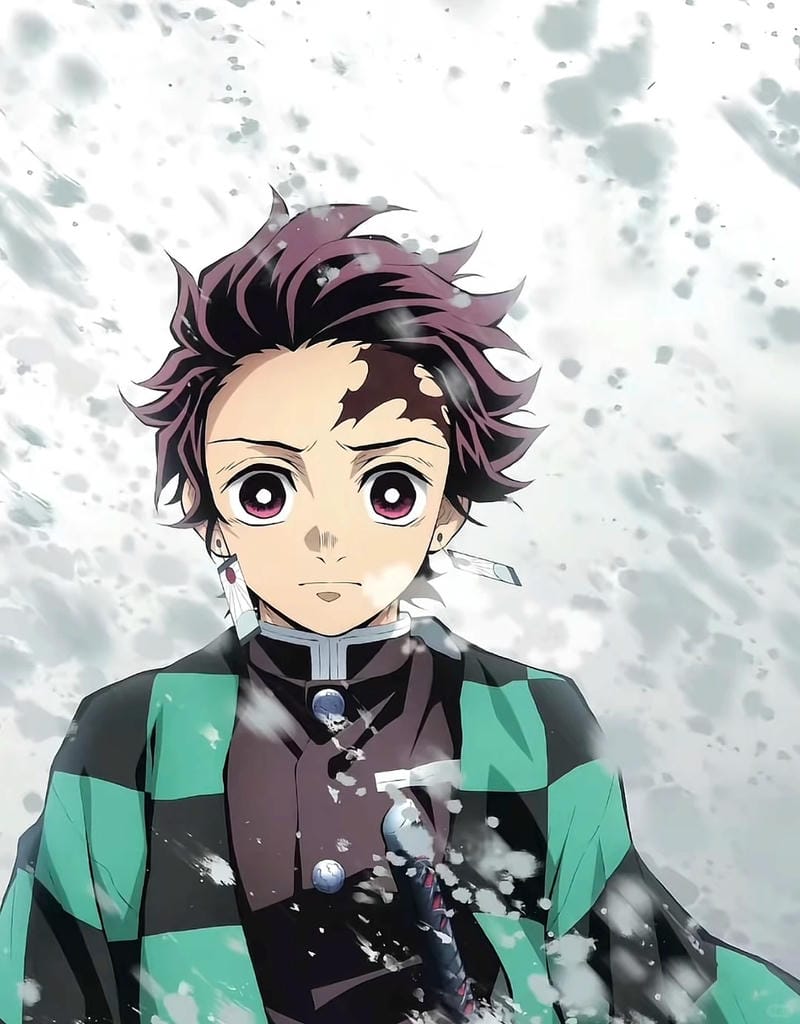 anh-kamado-tanjiro (30)